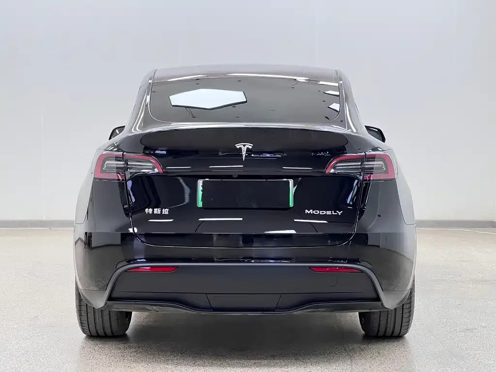 Tesla Model Y 2023 из CN, фото 6
