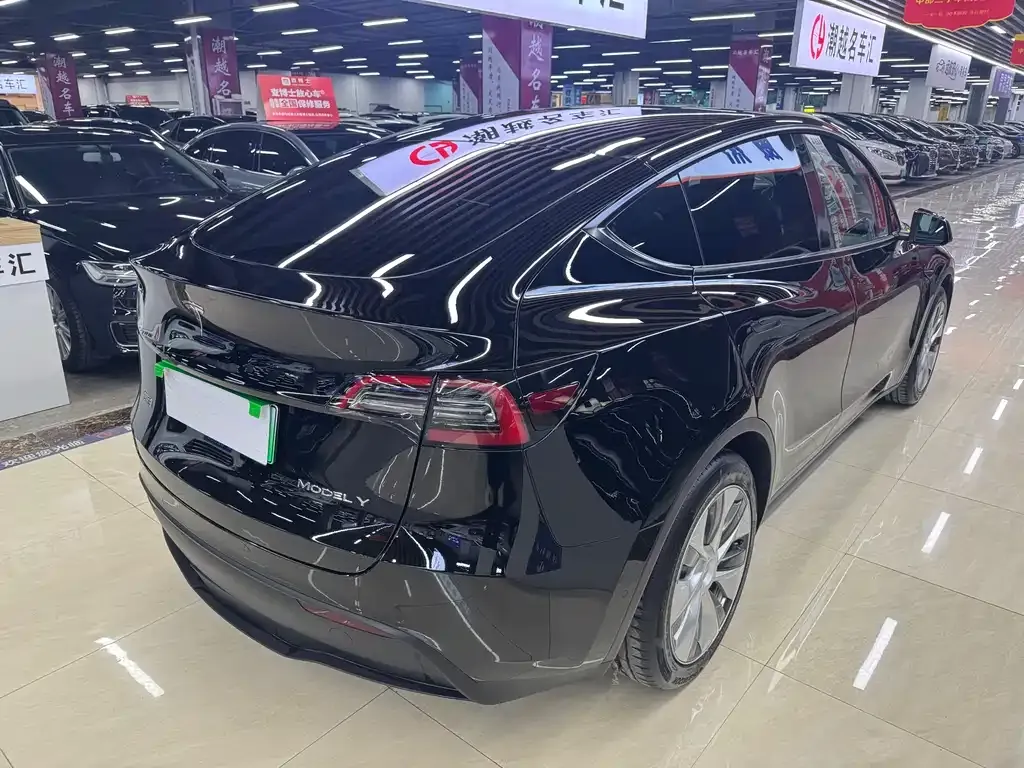 Tesla Model Y — фото 10