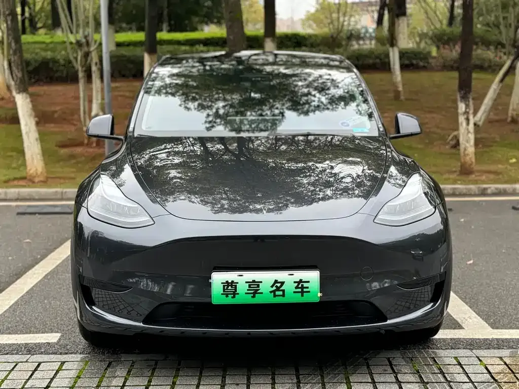 Tesla Model Y — фото 4
