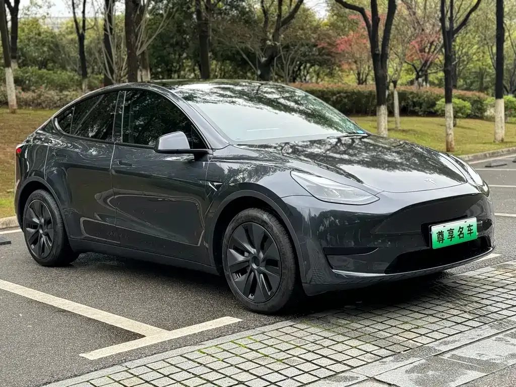 Tesla Model Y — фото 7