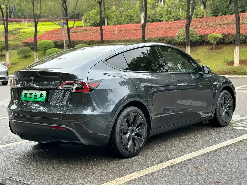 Tesla Model Y — фото 8
