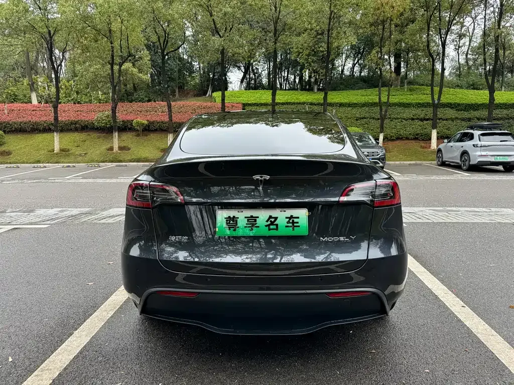 Tesla Model Y — фото 3