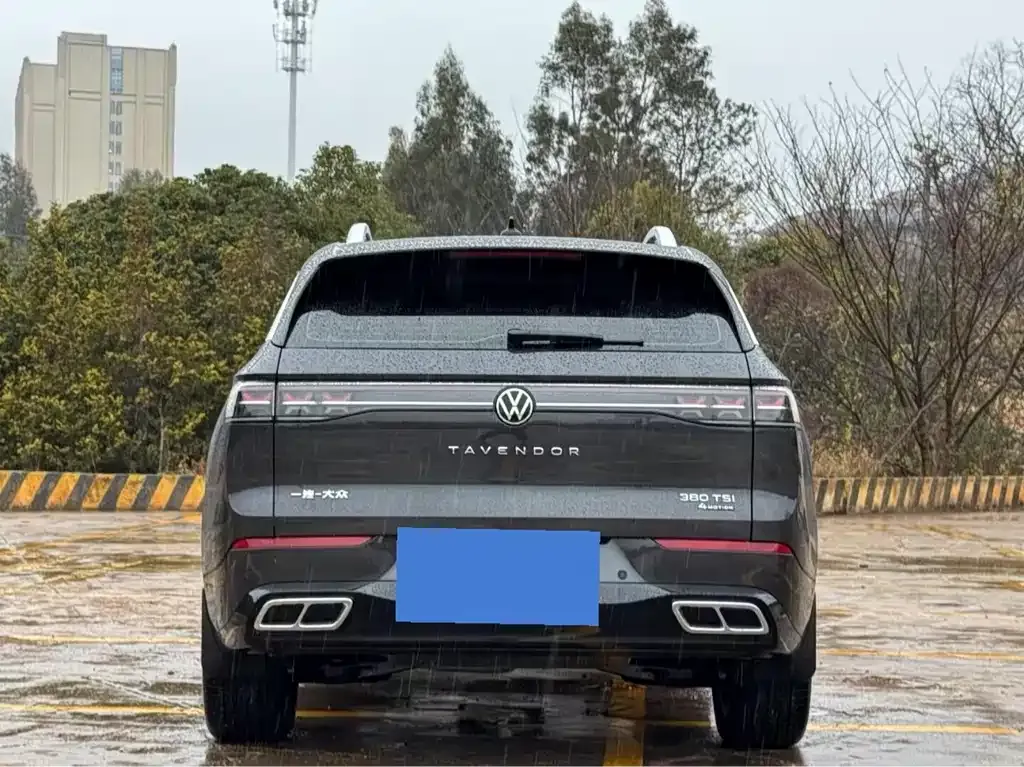 Volkswagen Tavendor 2023 из CN, фото 4