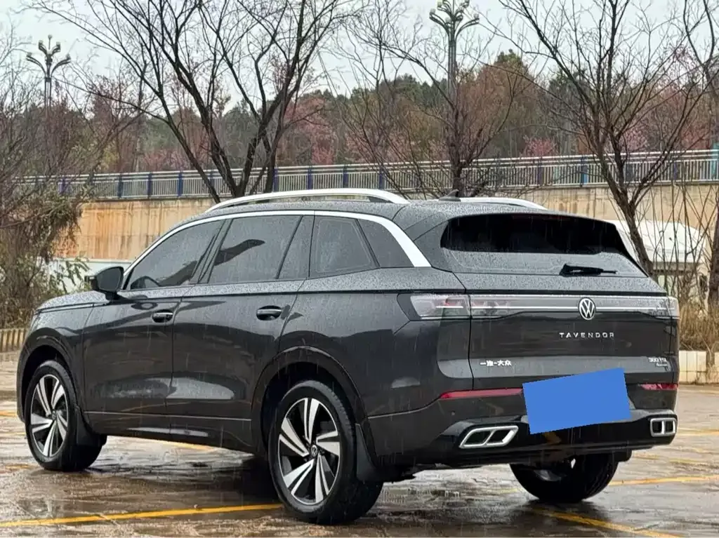 Volkswagen Tavendor 2023 из CN, фото 7