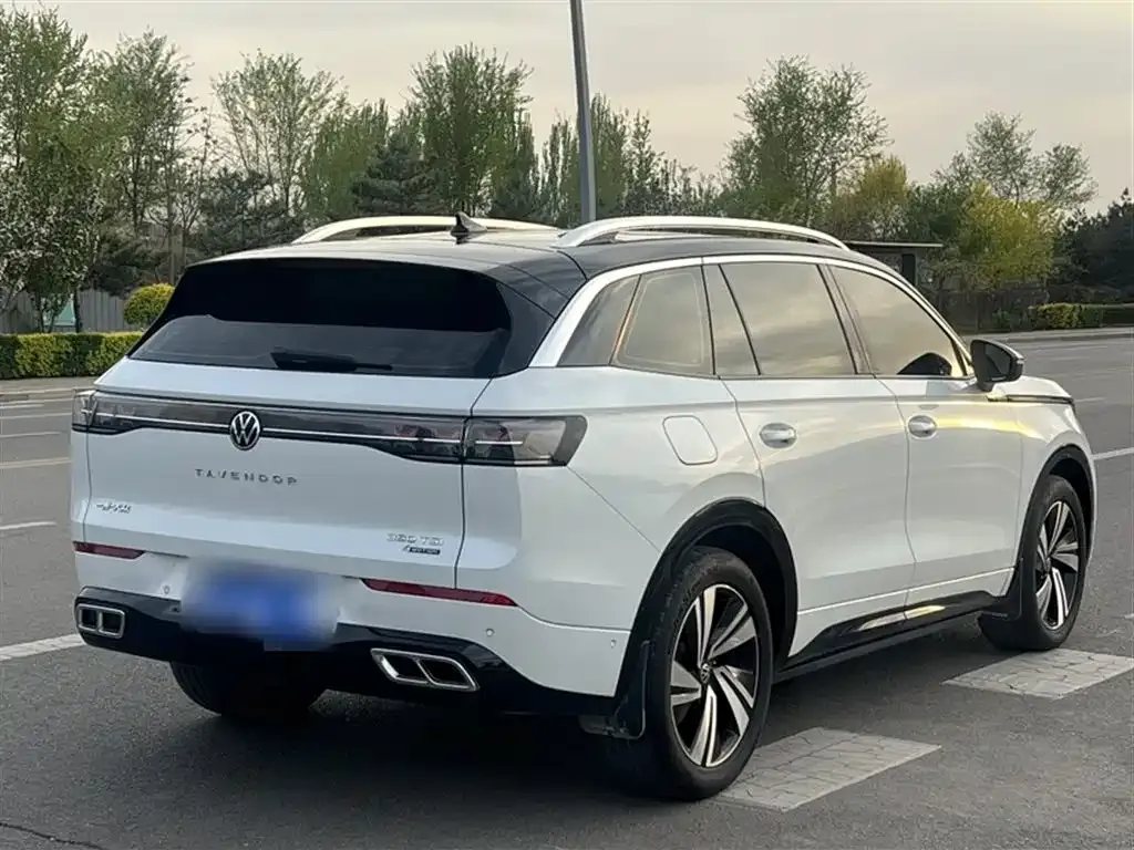 Volkswagen Tavendor 2023 из CN, фото 7