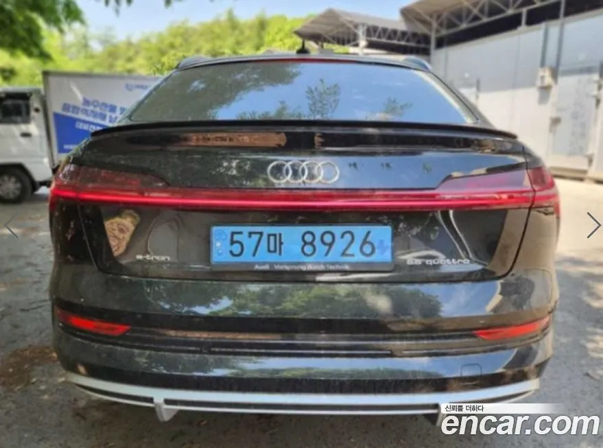 Audi e-tron 2022 из KR, фото 8