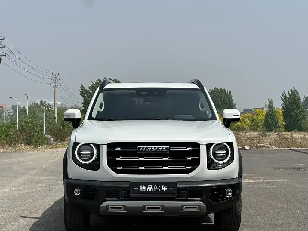 Haval Big Dog 2021 из CN, фото 6