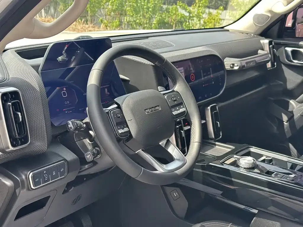 Haval Big Dog 2021 из CN, фото 8