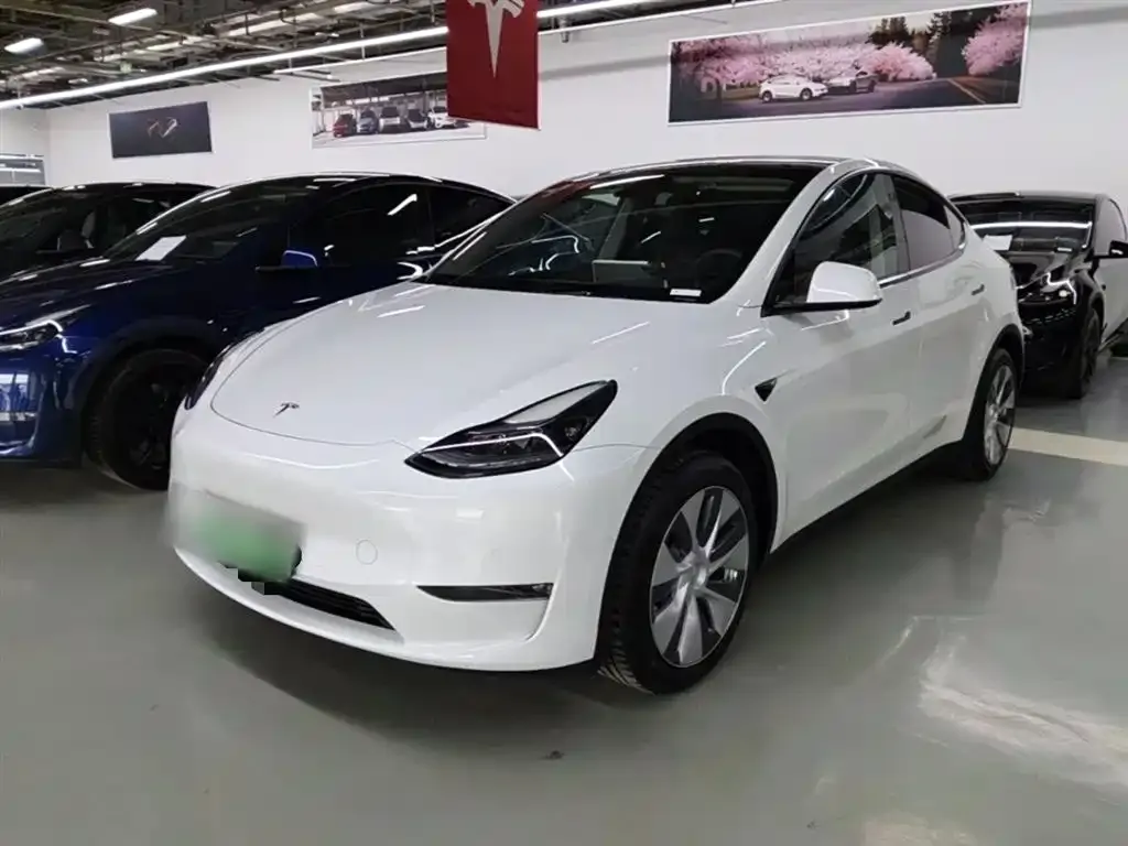Tesla Model Y — фото 10