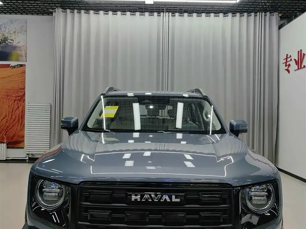 Haval Big Dog — фото 8