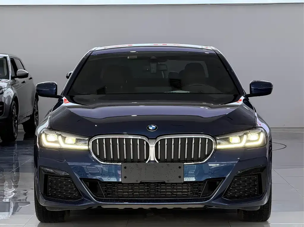 BMW 5 Series 2021 из CN, фото 7