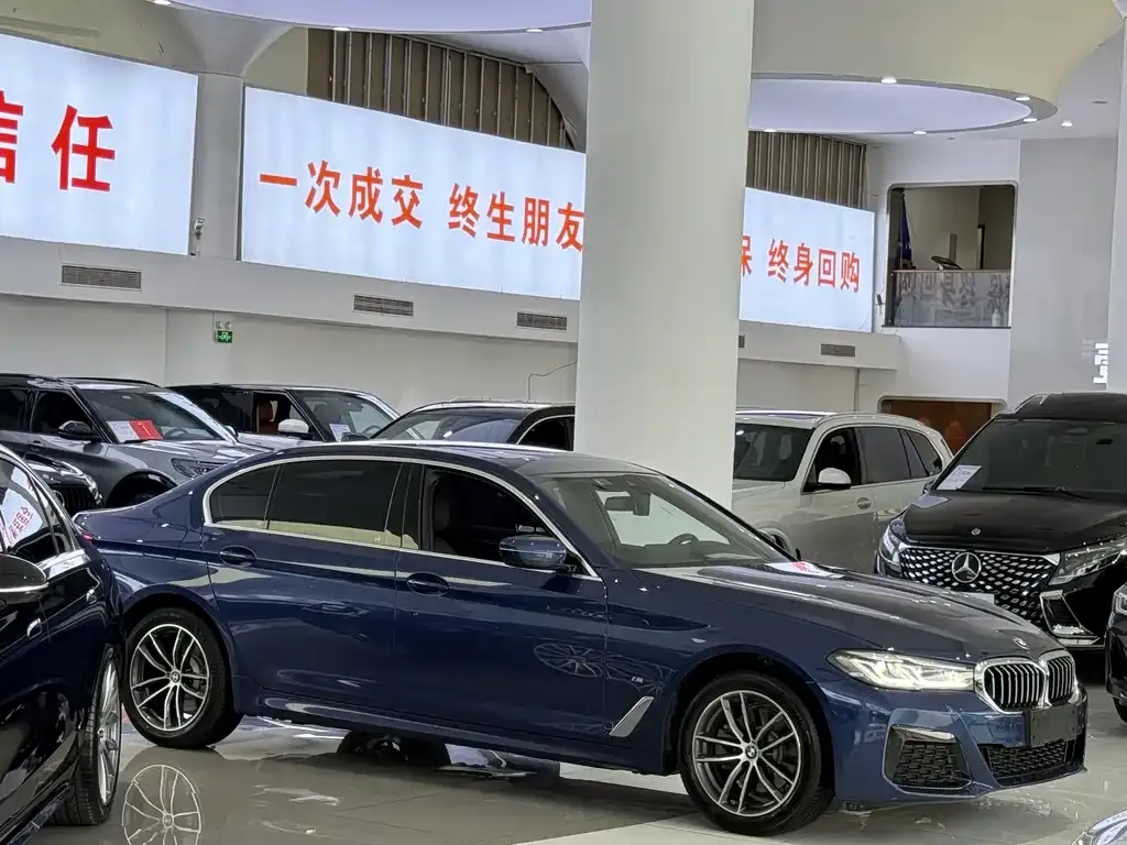 BMW 5 Series 2021 из CN, фото 9