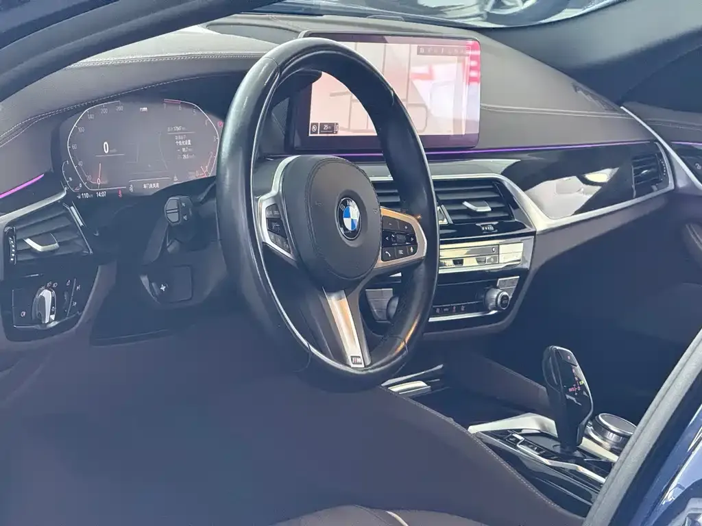 BMW 5 Series 2021 из CN, фото 4