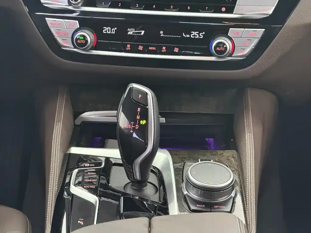 BMW 5 Series 2021 из CN, фото 8