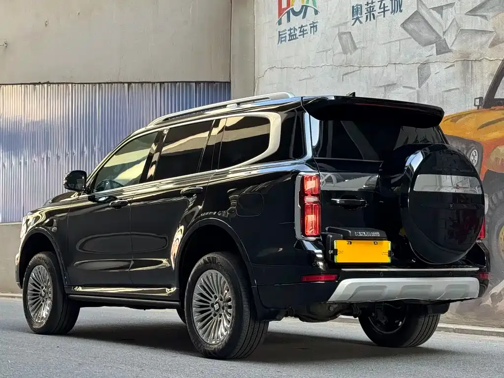 Tank 500 New Energy 2024 из CN, фото 6