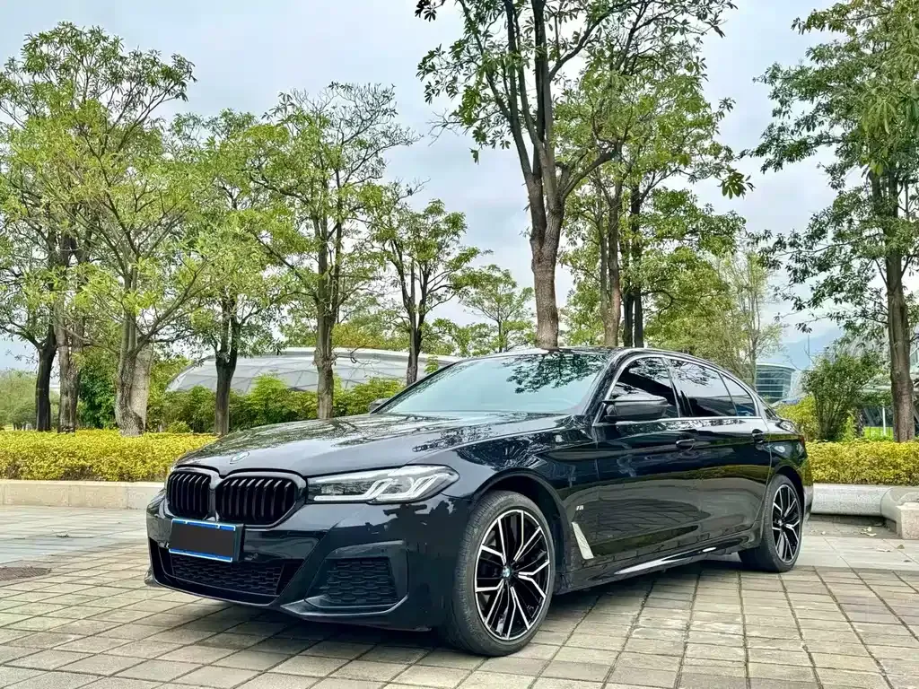 BMW 5 Series 2023 из CN, фото 1