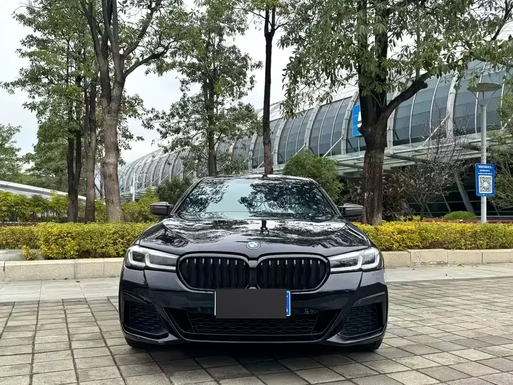 BMW 5 Series 2023 из CN, фото 6