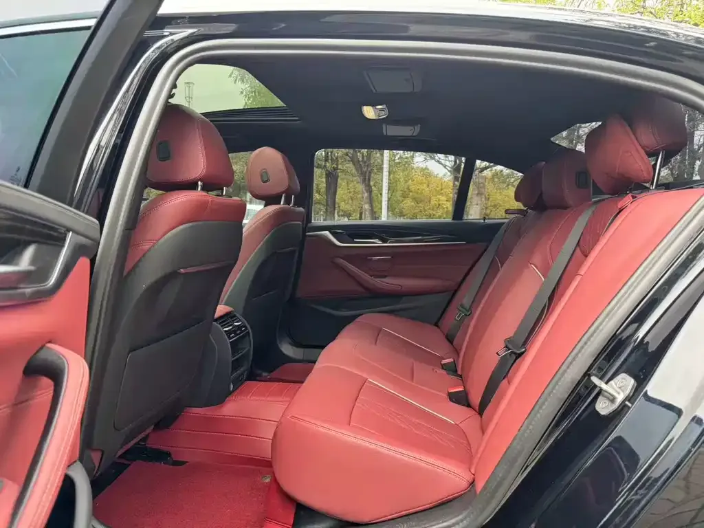 BMW 5 Series 2023 из CN, фото 8