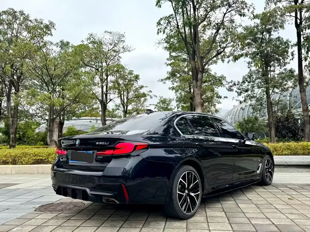 BMW 5 Series 2023 из CN, фото 5