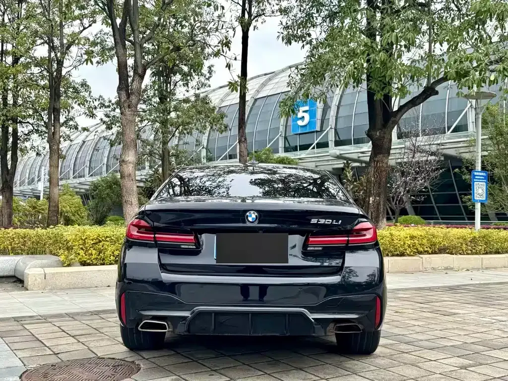BMW 5 Series 2023 из CN, фото 9