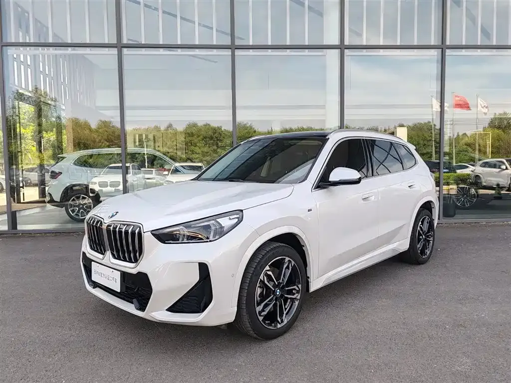 BMW X1 — фото 1