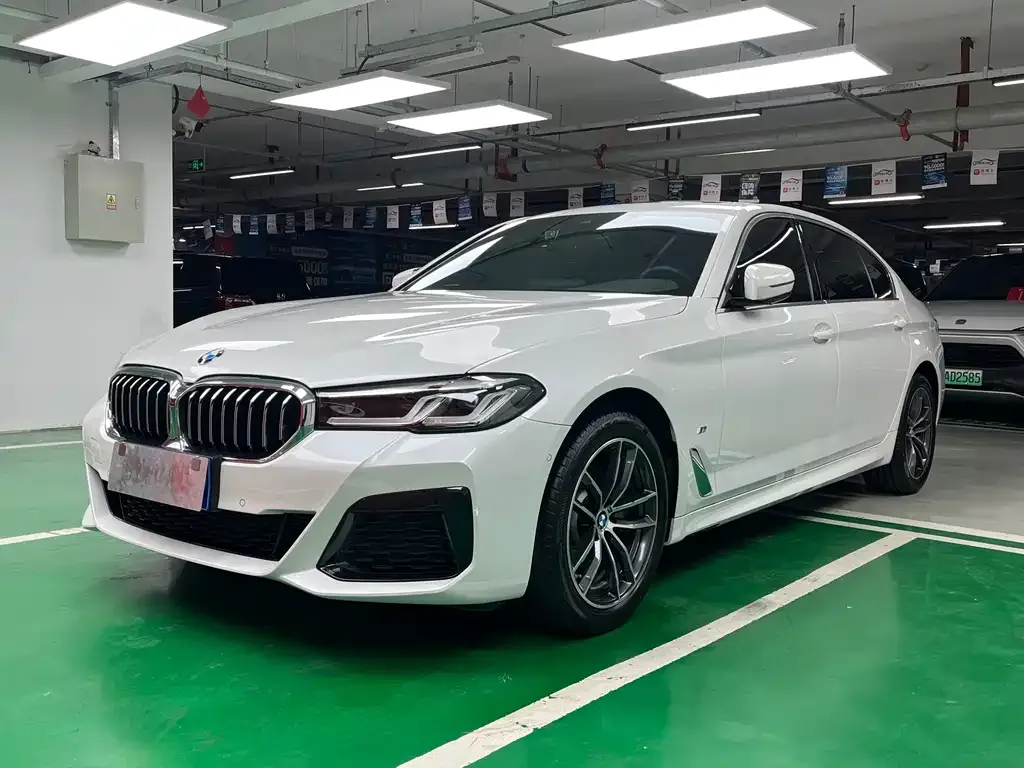 BMW 5 Series 2022 из CN, фото 1