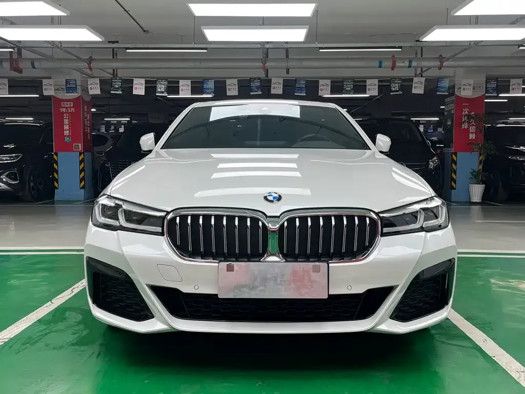 BMW 5 Series 2022 из CN, фото 3