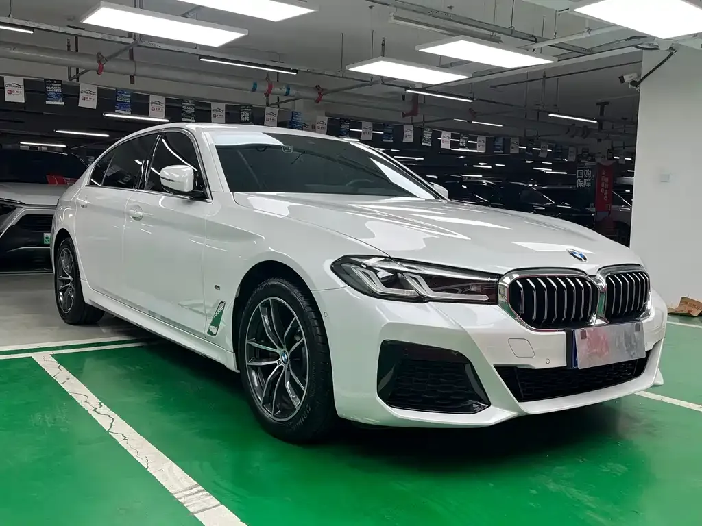 BMW 5 Series 2022 из CN, фото 8