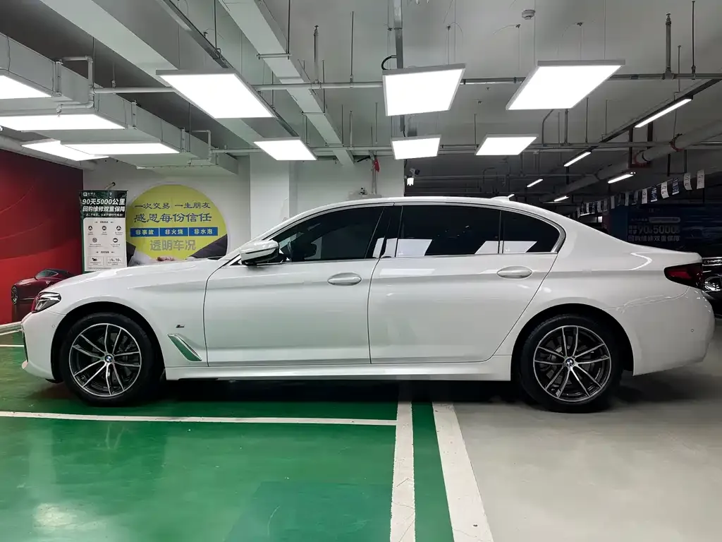 BMW 5 Series 2022 из CN, фото 6