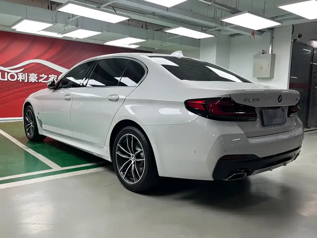 BMW 5 Series 2022 из CN, фото 4