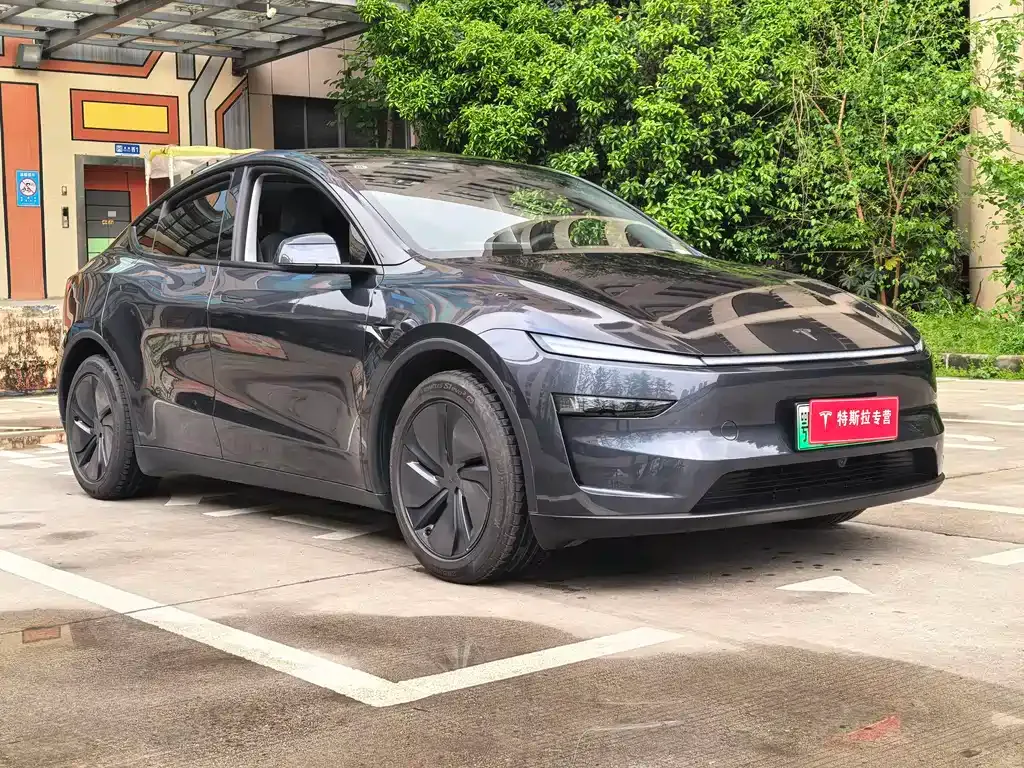 Tesla Model Y — фото 9