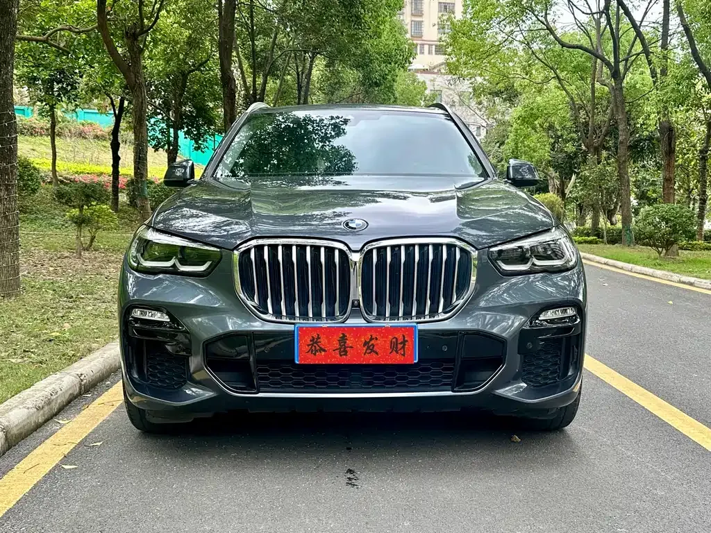 BMW X5 (Import) 2021 из CN, фото 3