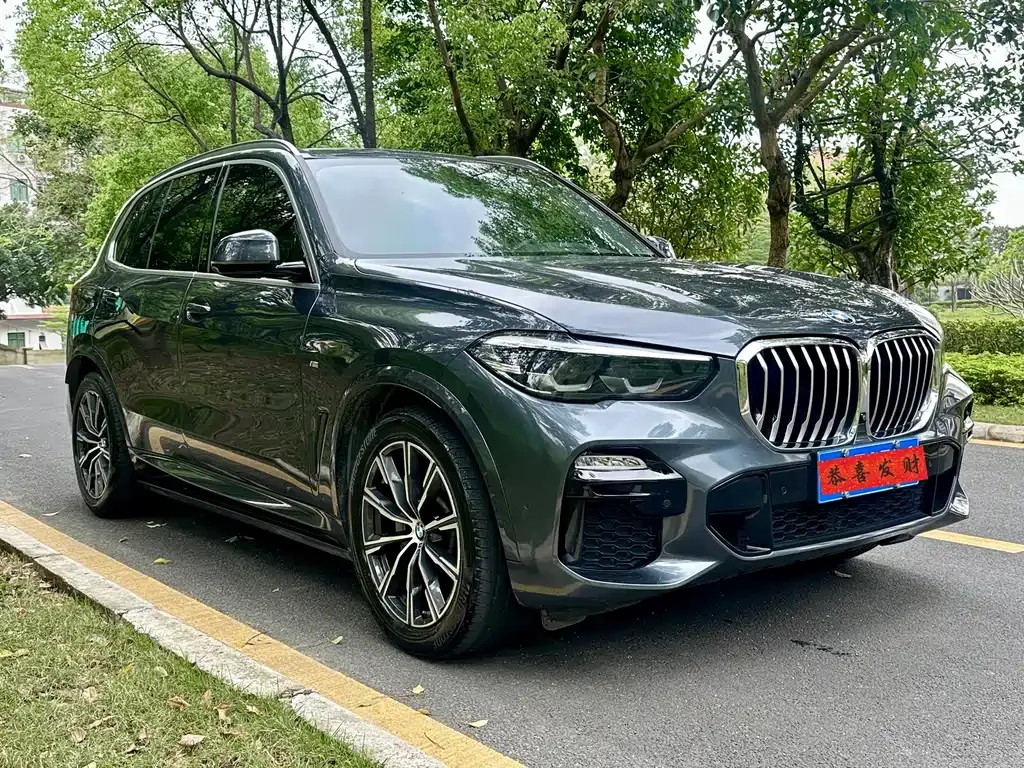 BMW X5 (Import) 2021 из CN, фото 4