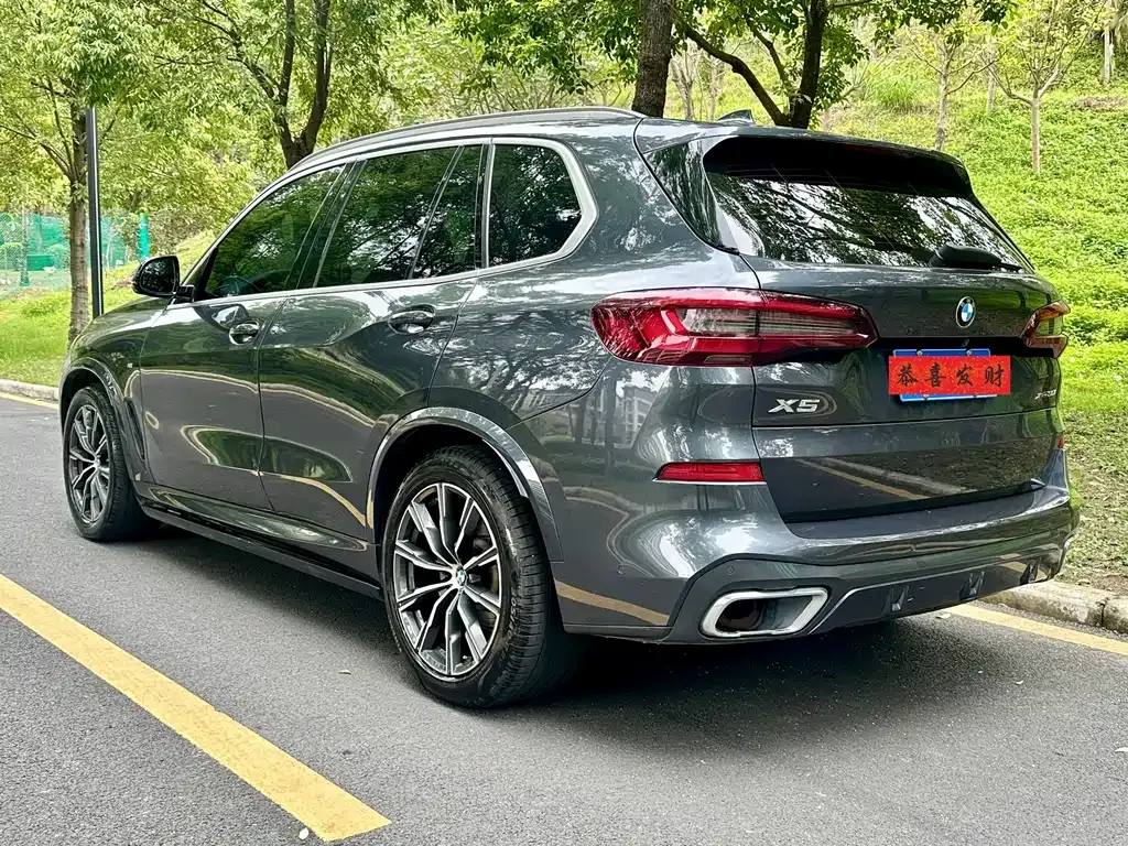 BMW X5 (Import) 2021 из CN, фото 7