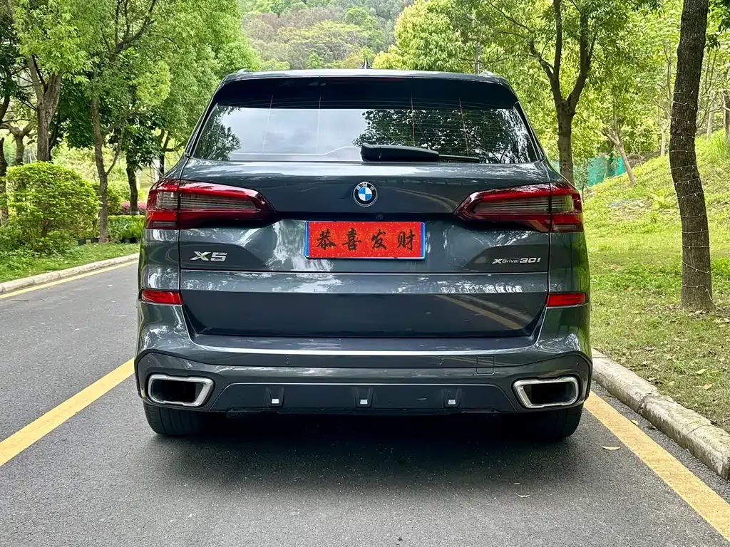 BMW X5 (Import) 2021 из CN, фото 5