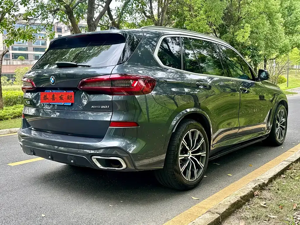BMW X5 (Import) 2021 из CN, фото 10