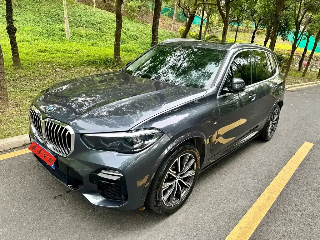 BMW X5 (Import) 2021 из CN, фото 6