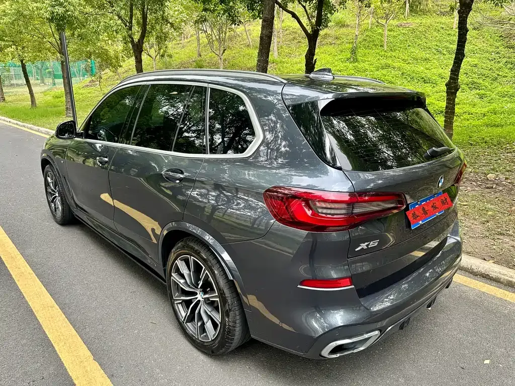 BMW X5 (Import) 2021 из CN, фото 8