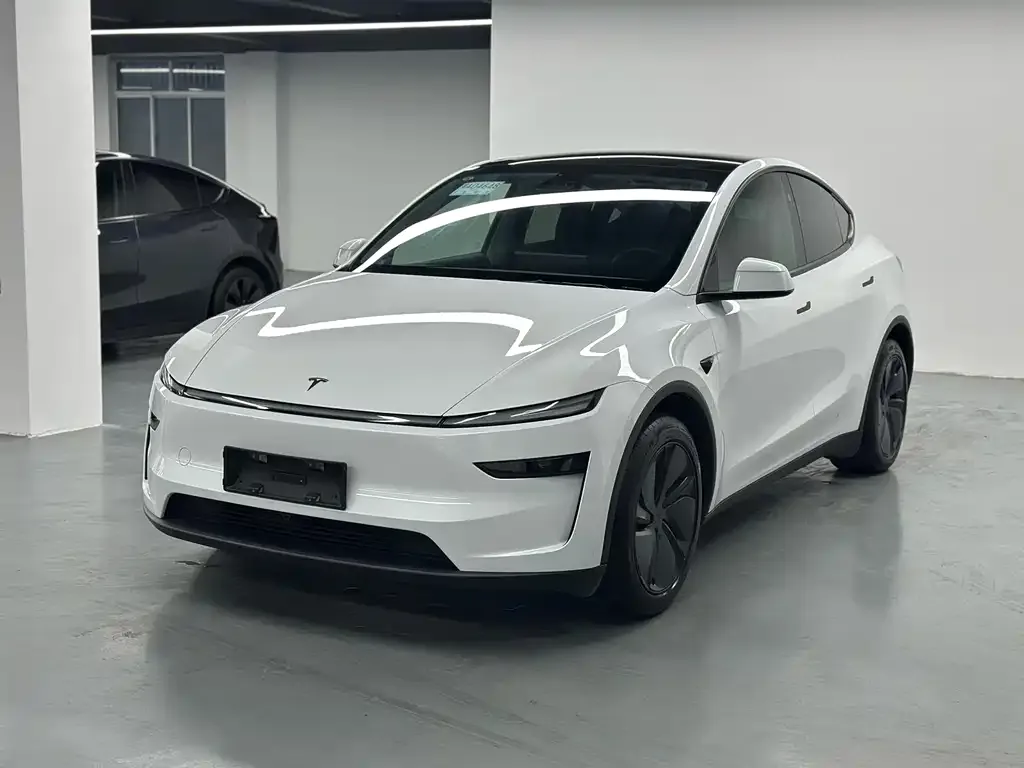Tesla Model Y 2025 из CN, фото 1