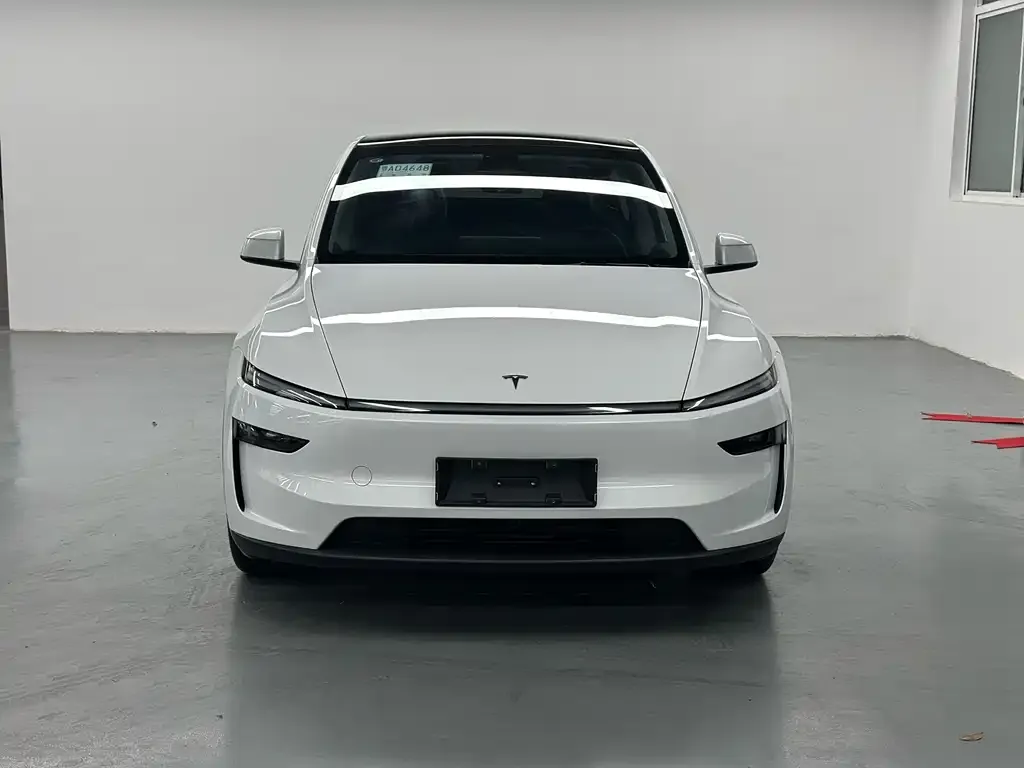 Tesla Model Y 2025 из CN, фото 2