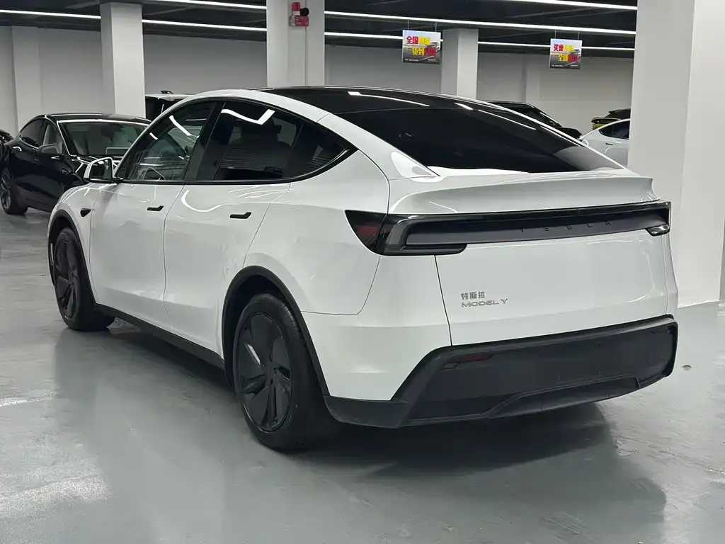 Tesla Model Y 2025 из CN, фото 4