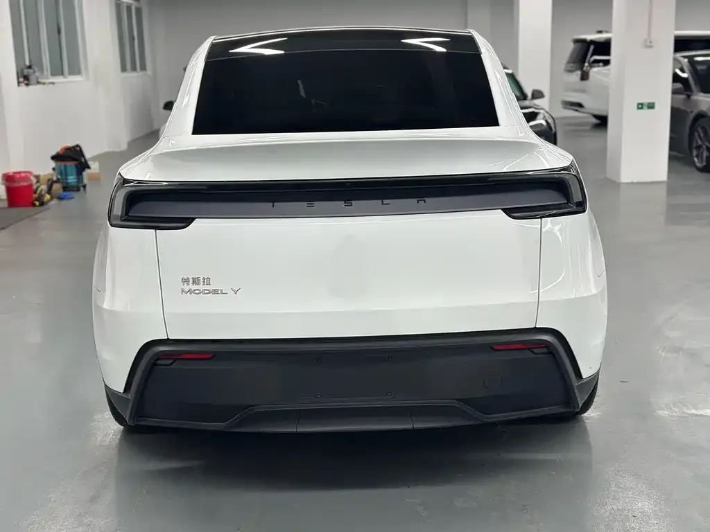Tesla Model Y 2025 из CN, фото 6