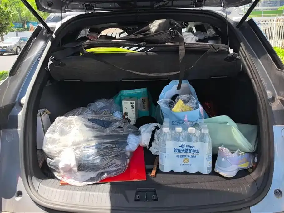 BYD Pro New Energy 2024 из CN, фото 4