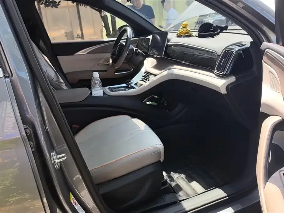BYD Pro New Energy 2024 из CN, фото 2