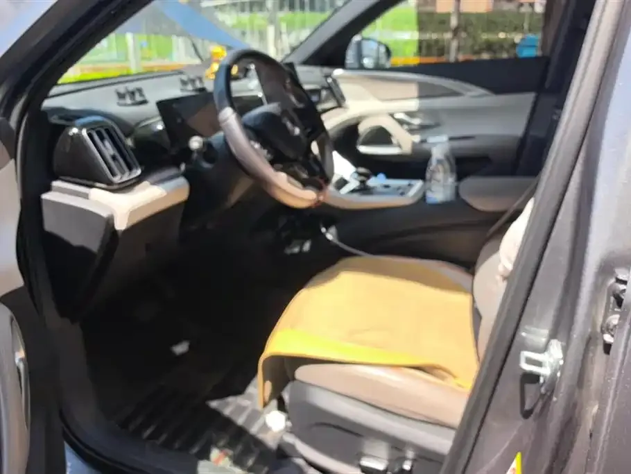BYD Pro New Energy 2024 из CN, фото 9