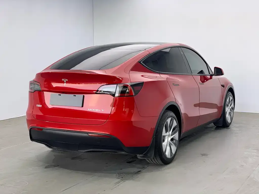 Tesla Model Y — фото 8