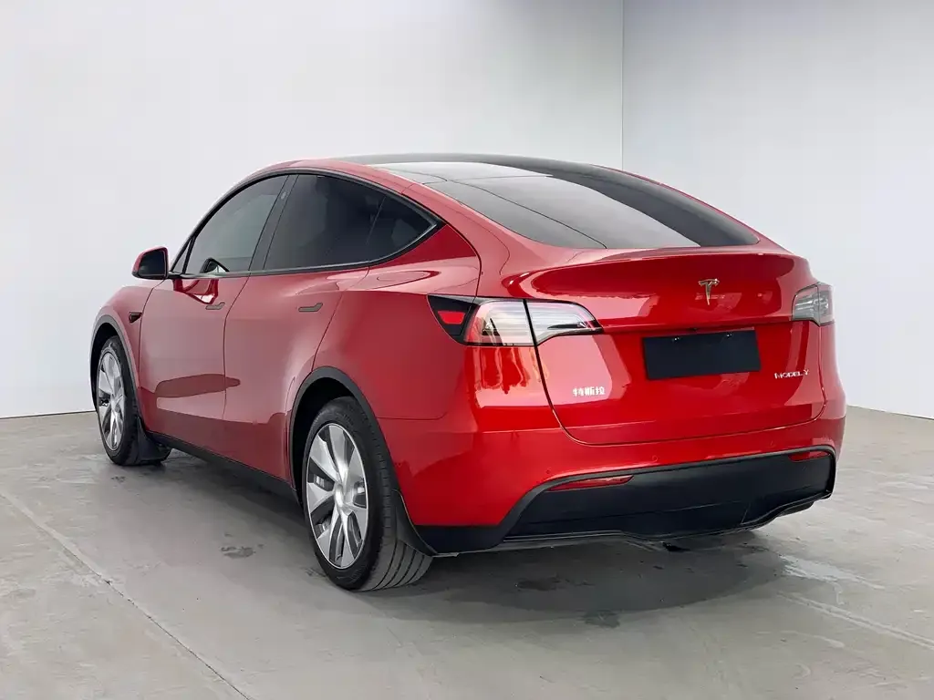 Tesla Model Y — фото 10