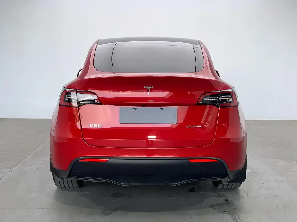 Tesla Model Y — фото 5