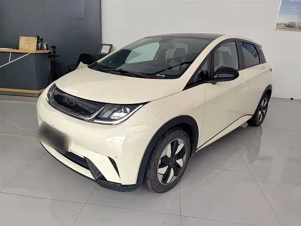 BYD Dolphin 2024 из CN, фото 4