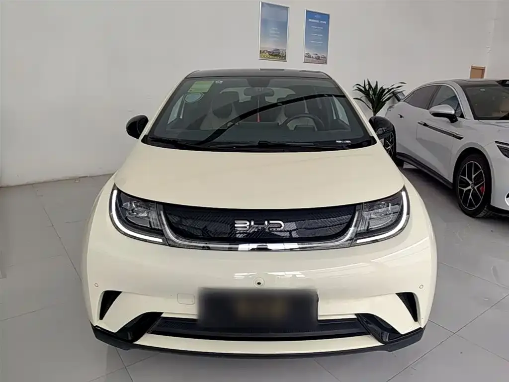 BYD Dolphin 2024 из CN, фото 7